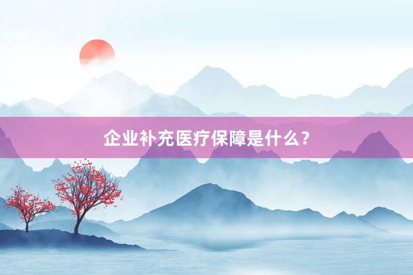 企业补充医疗保障是什么？