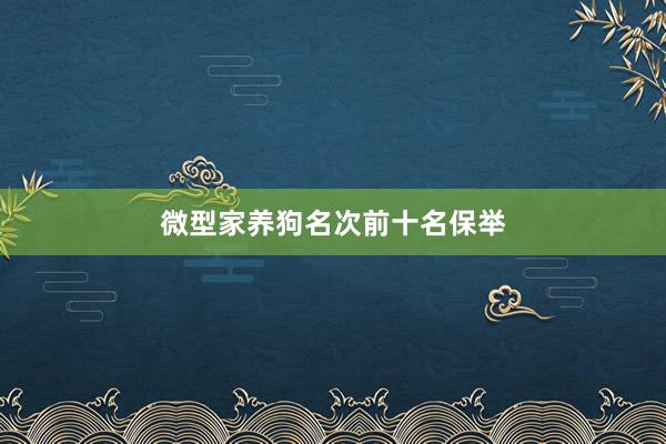微型家养狗名次前十名保举